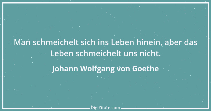 Zitat von Johann Wolfgang von Goethe 3569