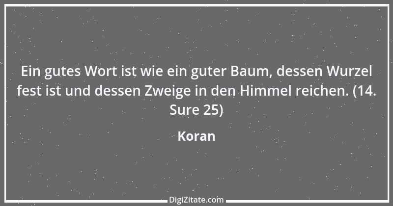 Zitat von Koran 13