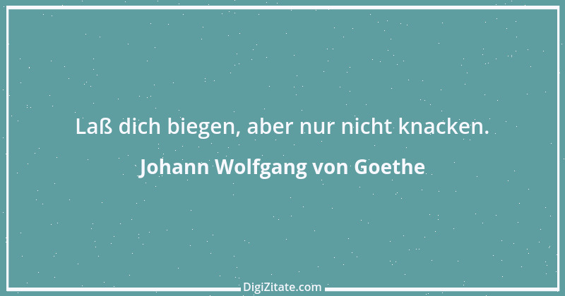 Zitat von Johann Wolfgang von Goethe 570