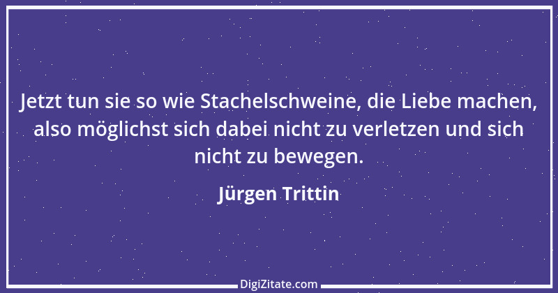 Zitat von Jürgen Trittin 5