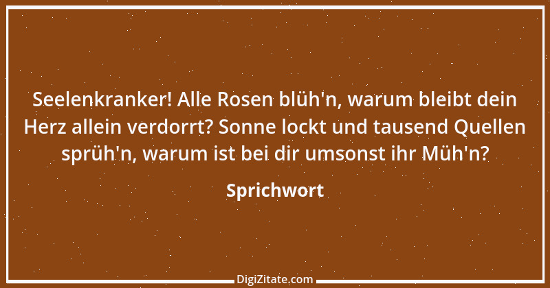 Zitat von Sprichwort 13562