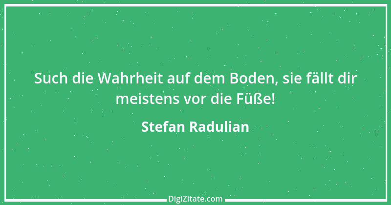 Zitat von Stefan Radulian 29