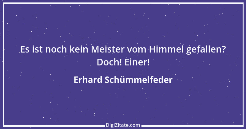 Zitat von Erhard Schümmelfeder 71