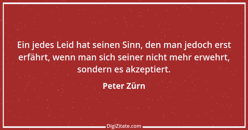 Zitat von Peter Zürn 1