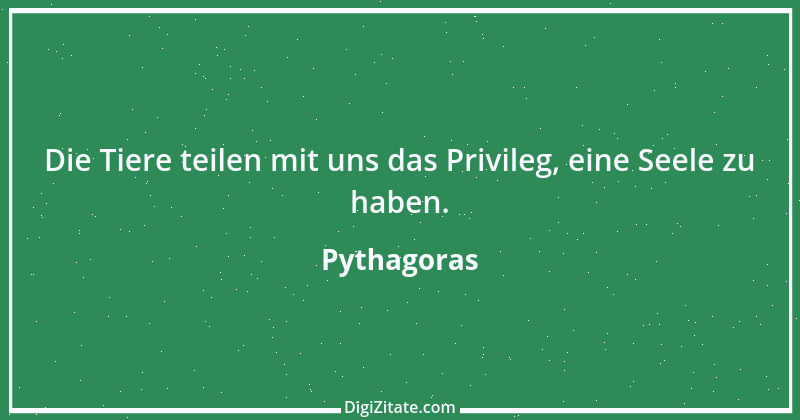 Zitat von Pythagoras 38