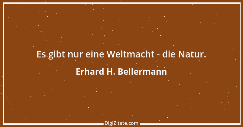 Zitat von Erhard H. Bellermann 88