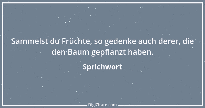 Zitat von Sprichwort 11566