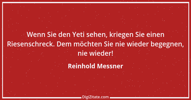 Zitat von Reinhold Messner 33