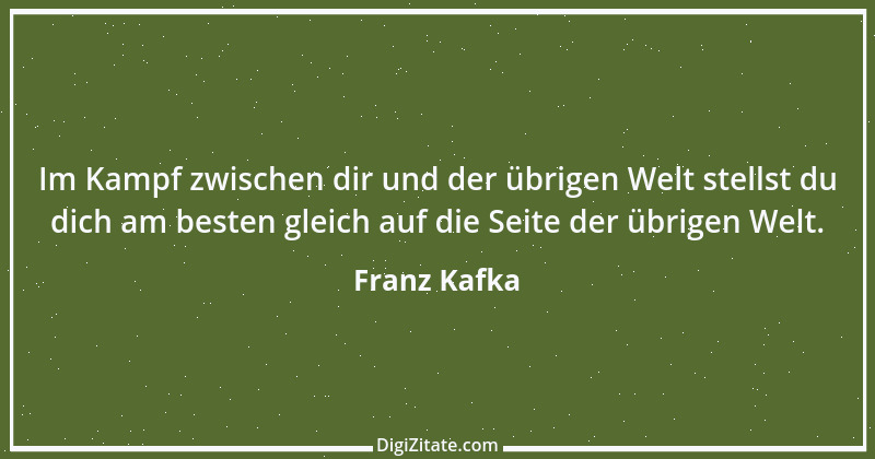 Zitat von Franz Kafka 166