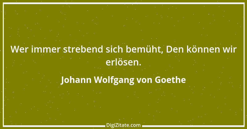 Zitat von Johann Wolfgang von Goethe 2811