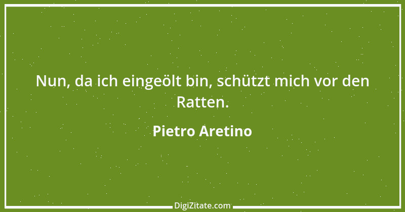 Zitat von Pietro Aretino 1