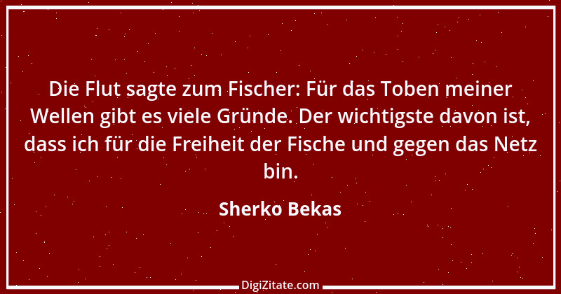 Zitat von Sherko Bekas 1