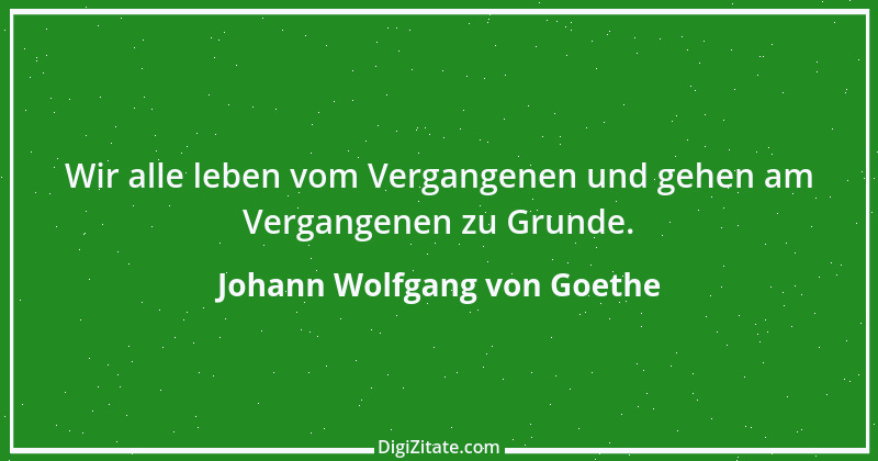 Zitat von Johann Wolfgang von Goethe 576