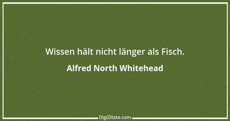 Zitat von Alfred North Whitehead 4