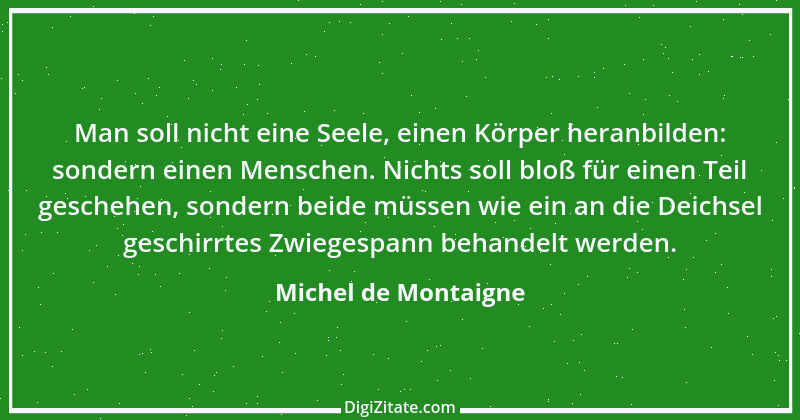 Zitat von Michel de Montaigne 265