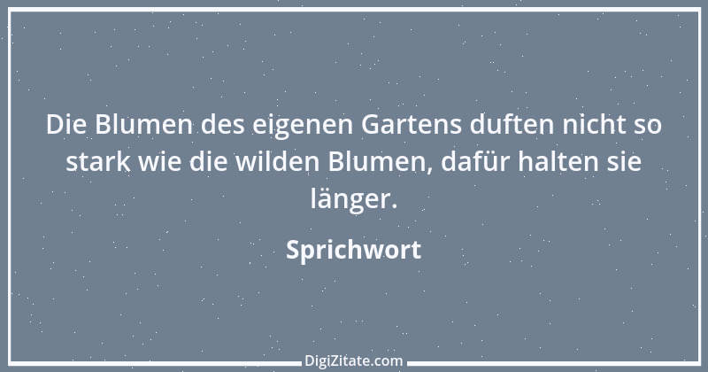 Zitat von Sprichwort 8569