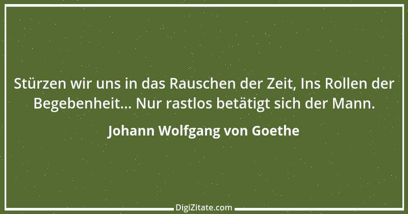 Zitat von Johann Wolfgang von Goethe 578