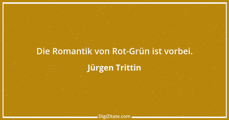 Zitat von Jürgen Trittin 13