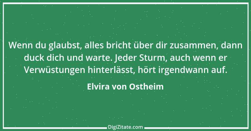 Zitat von Elvira von Ostheim 31