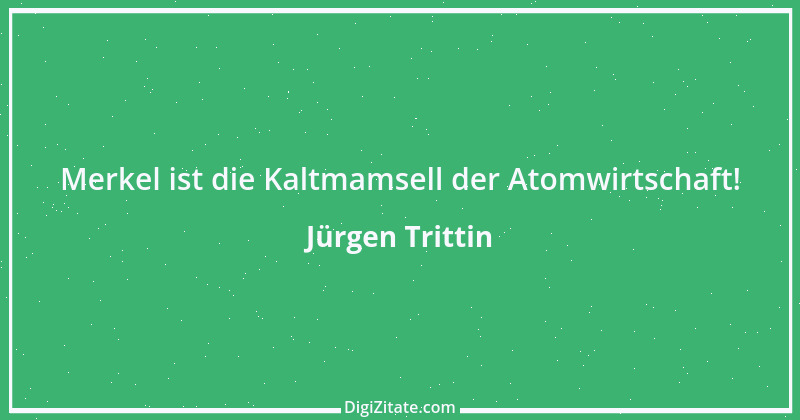 Zitat von Jürgen Trittin 15