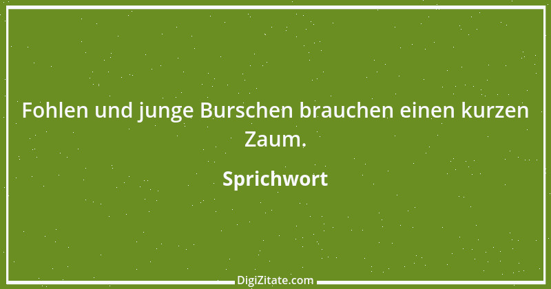 Zitat von Sprichwort 5572