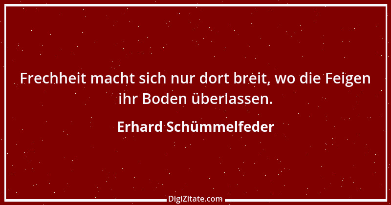 Zitat von Erhard Schümmelfeder 80