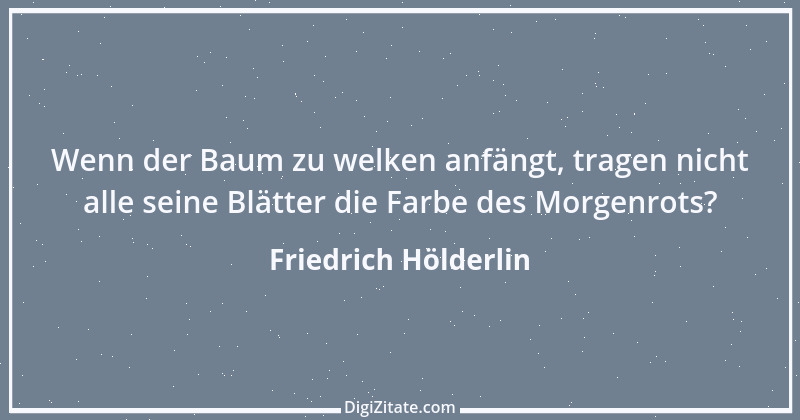 Zitat von Friedrich Hölderlin 91