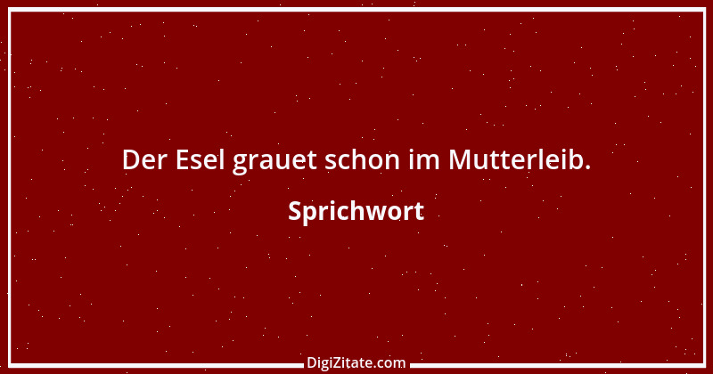 Zitat von Sprichwort 4574