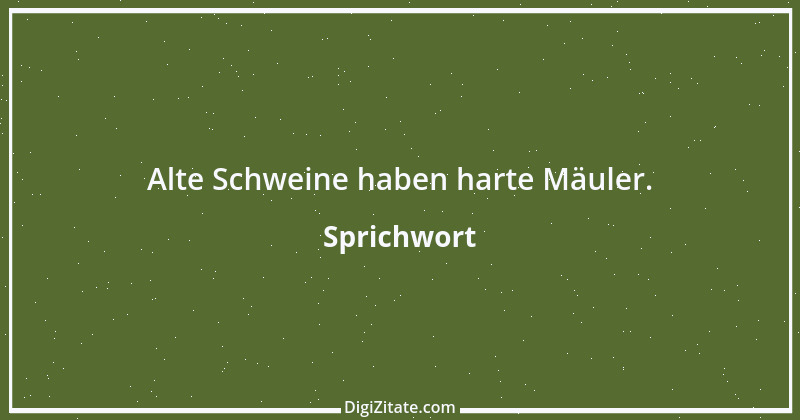 Zitat von Sprichwort 9575