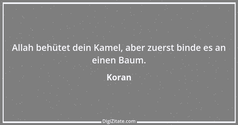 Zitat von Koran 28