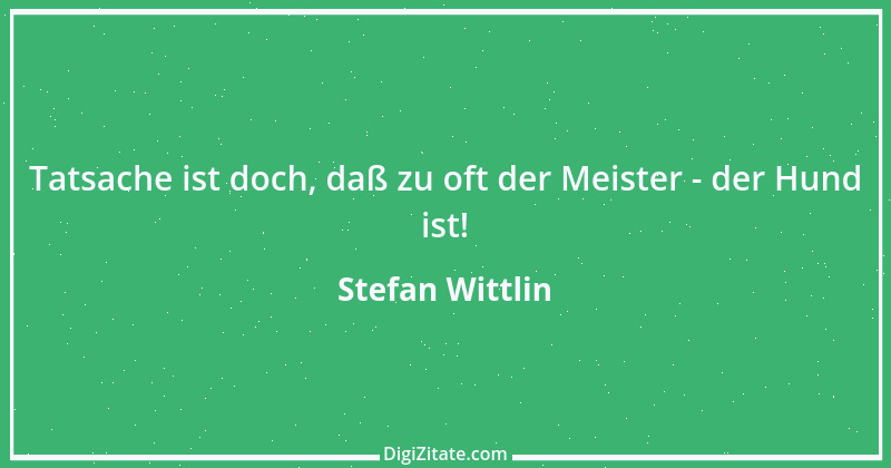 Zitat von Stefan Wittlin 293