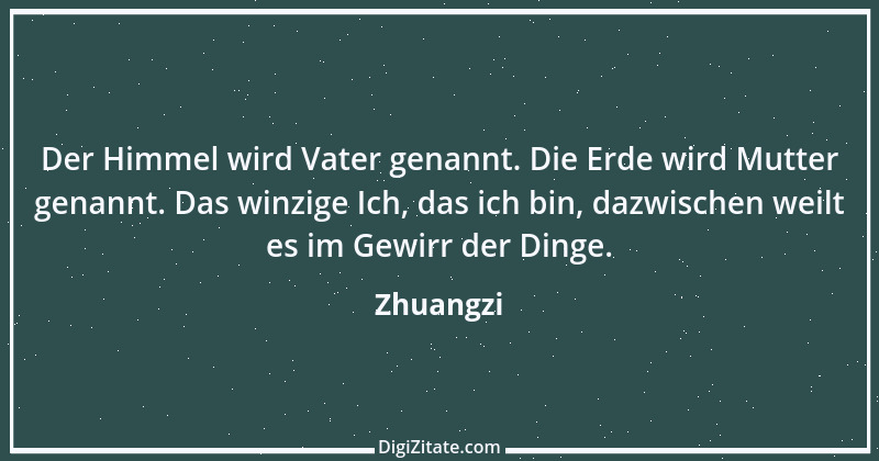 Zitat von Zhuangzi 49