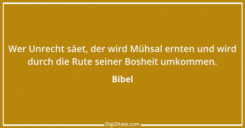 Zitat von Bibel 847