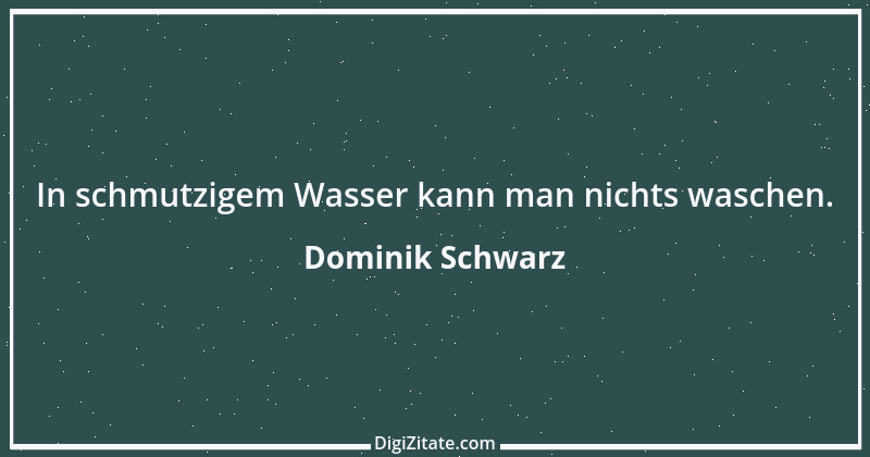 Zitat von Dominik Schwarz 1