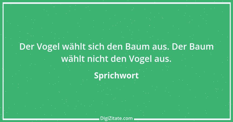 Zitat von Sprichwort 7804