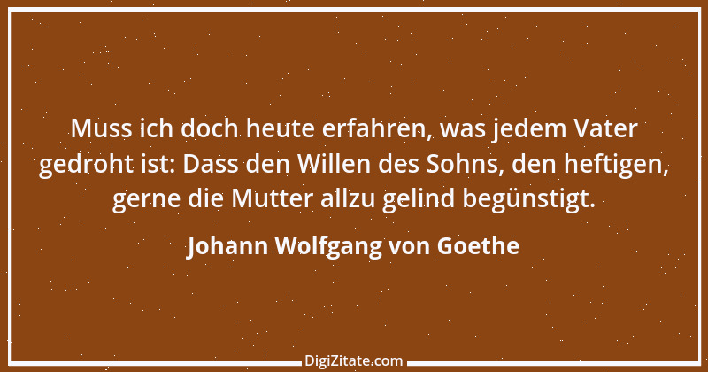 Zitat von Johann Wolfgang von Goethe 586