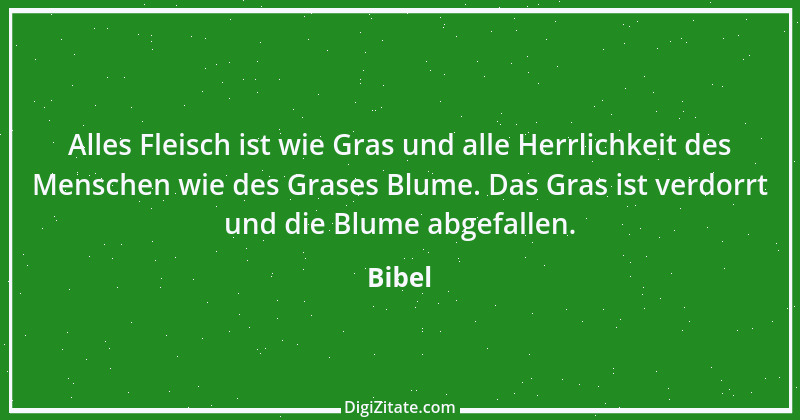 Zitat von Bibel 622