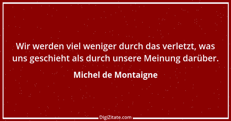 Zitat von Michel de Montaigne 275