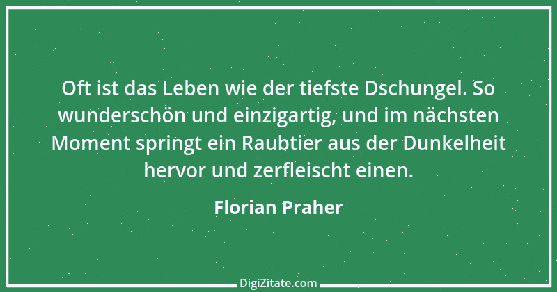 Zitat von Florian Praher 12