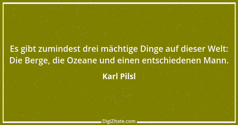 Zitat von Karl Pilsl 53