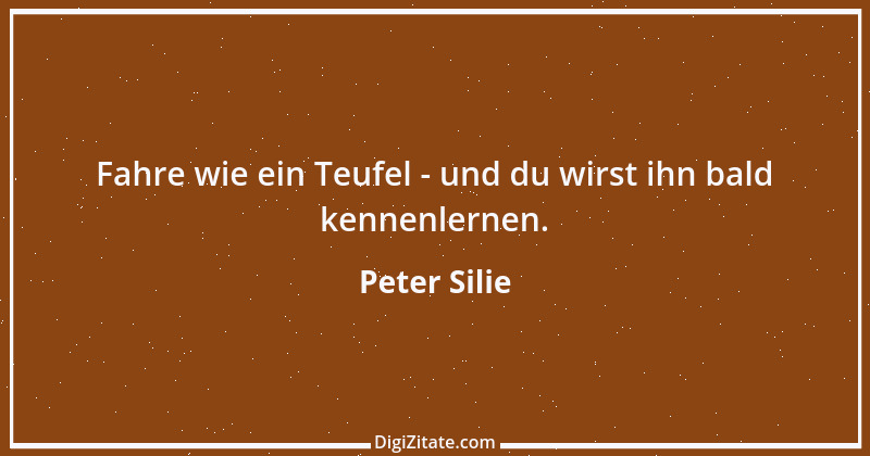 Zitat von Peter Silie 8