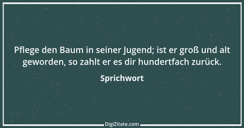 Zitat von Sprichwort 10582