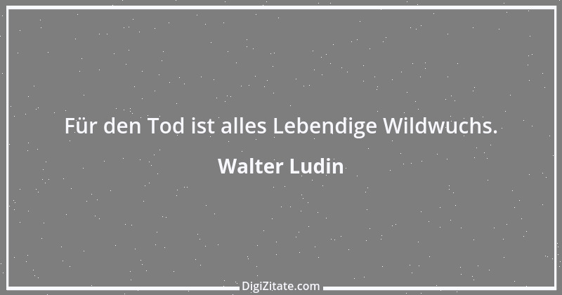 Zitat von Walter Ludin 92