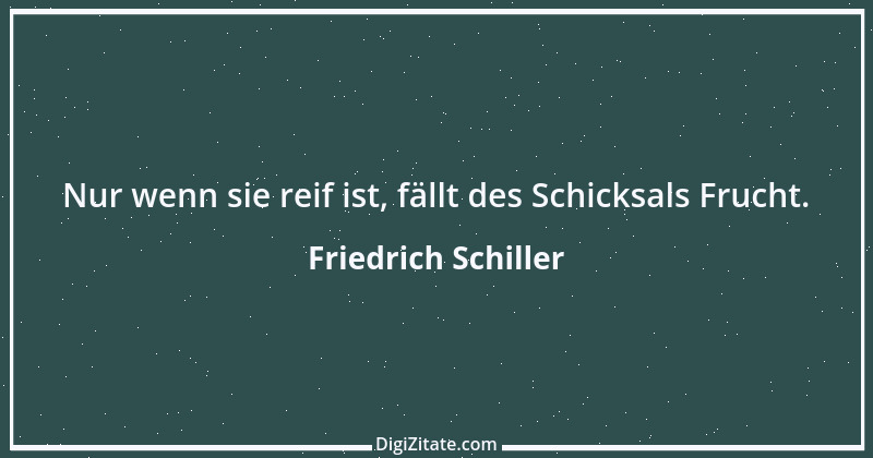 Zitat von Friedrich Schiller 1108