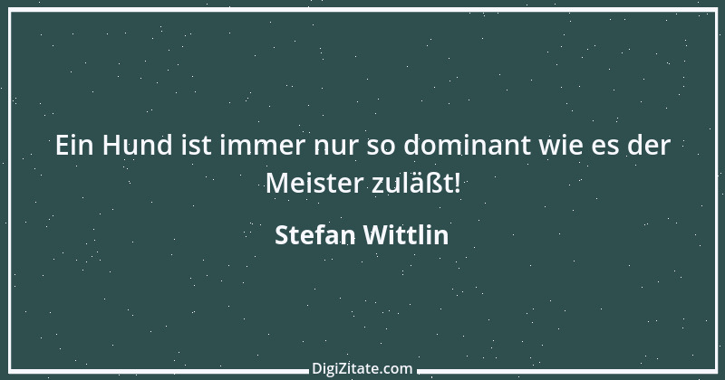 Zitat von Stefan Wittlin 300