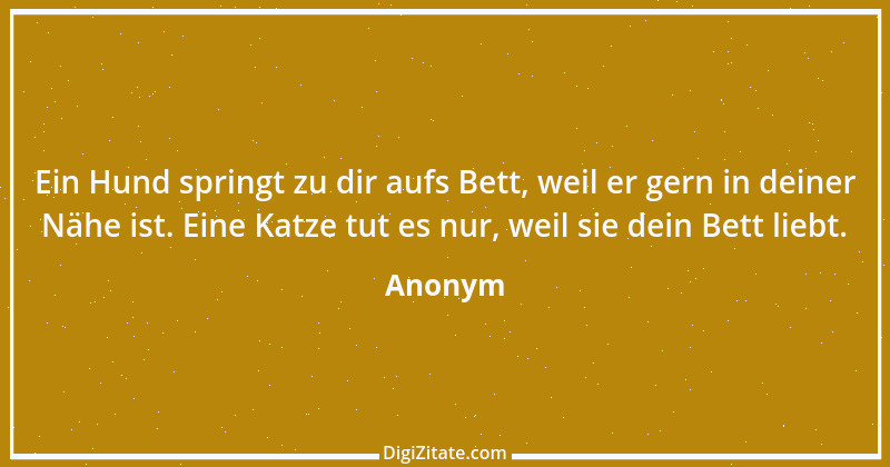 Zitat von Anonym 560