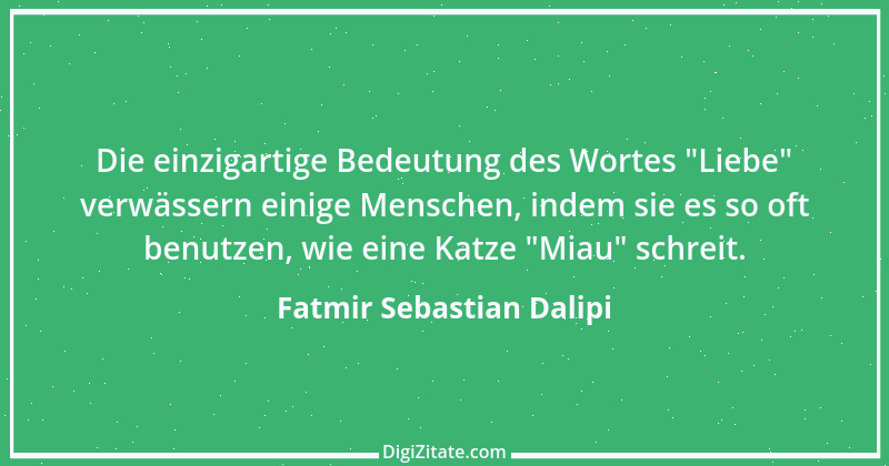 Zitat von Fatmir Sebastian Dalipi 2