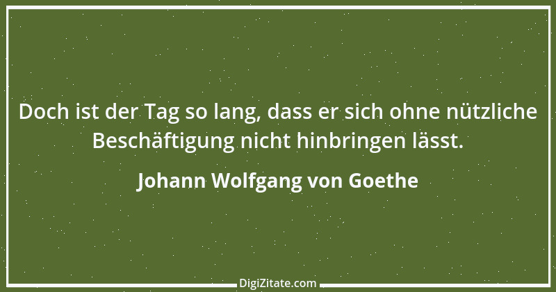 Zitat von Johann Wolfgang von Goethe 592