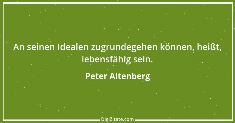 Zitat von Peter Altenberg 18