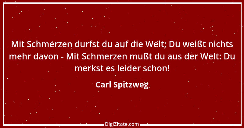 Zitat von Carl Spitzweg 2